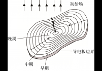 导电薄板涡旋电流分布示意图(据C. T. Barnett[9])