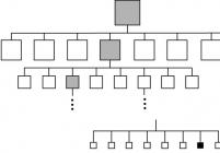 八叉树数据结构