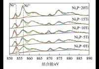 Ni2P-xTi催化剂中Ni 2p的XPS谱图