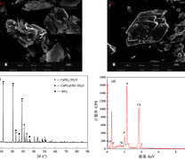 磷石膏原矿SEM（a），（b），XRD（c）和表面元素分布（d）