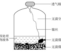 不同微生物预处理煤样装置示意