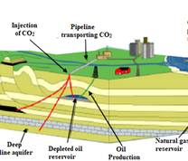 Geologic storage options for carbon dioxide (Perera 2014)