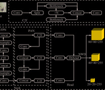 YOLOv5n−CND模型结构