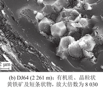 深部煤层扫描电镜(SEM)案例