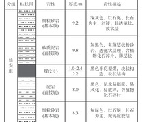 煤岩层柱状图