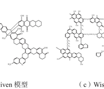 煤大分子结构经典模型