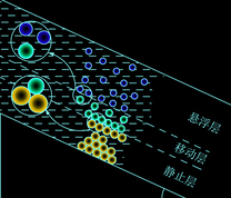 大斜度泵水粉两相低速流动3层流场模型