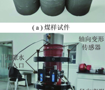 煤样及变形测量装置的安装