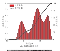 粉煤灰物化分析