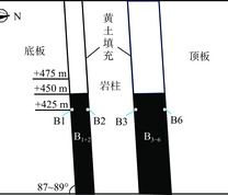 顶底板和煤层分布剖面