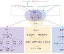 煤层气成藏的四元组构和三场动力叠置地质模型