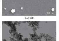 β-Ni(OH)2的SEM和TEM图