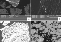 SEM images of different types of pyrite: a= Pyrite infilling cracks; b= Framboidal pyrite; c = Cell and pore infilling pyrite that grade into massive pyrite; and d = Framboidal pyrite with concentric ring overgrowth and mass