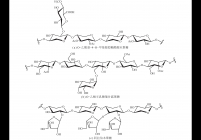 半纤维素分子结构[85, 87]