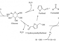 H-β-25催化剂上LGA转化过程中的产物