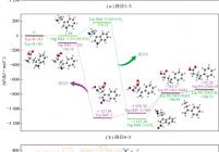 色氨酸(Trp)预测的热力学反应路径图(路径1～7)