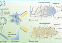 Action mechanism of clean fracturing fluid for coal seam fracturing