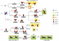 电催化CO2RR中C1～C3产物的反应途径