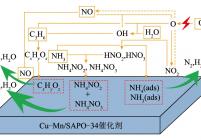 等离子体增强Cu-Mn/SAPO-34上的NH3-SCR反应机理