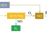 模型中的N转化路径