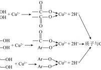 羧基、酚羟基对铜离子吸附机理
