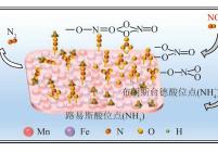 Mn-Fe/SAPO-34催化剂上的反应机理