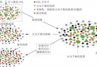 液态CO2作用下煤体有机质重组过程模型