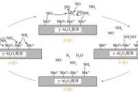 Mo-MnOx/γ-Al2O3低温NH3-SCR反应机制