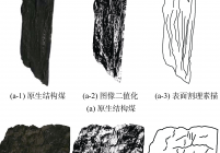 原生结构煤和碎裂结构煤裂隙发育特征