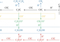 CO加氢生成低碳醇、甲醇、烃类的反应路径