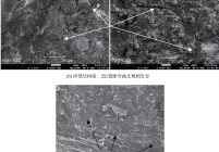 不同煤体结构煤的微米级裂隙SEM图像