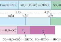 有／无CO2存在下SO2吸收机理与临界pH值