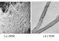 多壁碳纳米管SEM和TEM图
