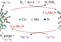 Co-Mo-N在化学链过程中晶格N及晶体结构的变化