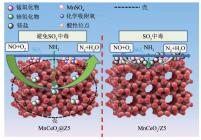 MnCeOx@Z5和MnCeOx/Z5催化剂耐水耐硫的可能机制