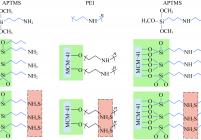 负载不同有机胺的MCM-41分子筛与H2S的作用方式示意