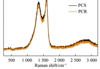 PCR和PCS的微晶和表面化学结构表征