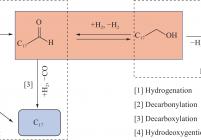 硬脂酸加氢脱氧反应路径