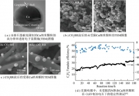 包覆准石墨碳壳对铜纳米颗粒在CO2RR中结构稳定性的影响