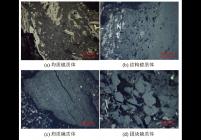 镜质组显微煤岩组分特征