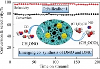 Pd-硅羟基的协同作用促进DMO和DMC共合成
