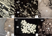 Photomicrographs of different forms of pyrite under petrographic study under reflected white light, a Infilling cell and pore structures; bSubhedral to euhedral pyrite crystals; c Massive pyrite; d: Pyrite infilling cracks i