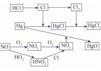 Hg的氧化反应路径