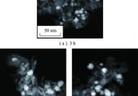 不同反应时间催化剂的TEM暗场图片