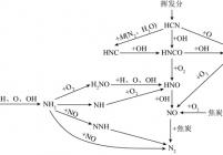 氨煤掺烧氮转化反应路径