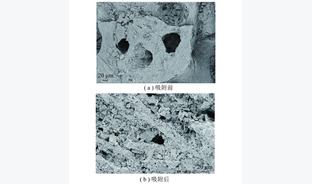 焦粉吸附深度处理焦化废水研究