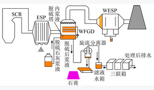 超低排放燃煤电站湿法脱硫和湿式电除尘器中硒含量分布及形态演变