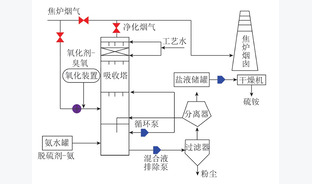 热解焦化过程烟气末端净化关键技术与应用进展