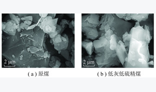 高硫煤深度浮选联合化学氧化脱灰脱硫提质研究