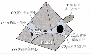 基于二氧化碳驱油技术的碳封存潜力评估研究进展